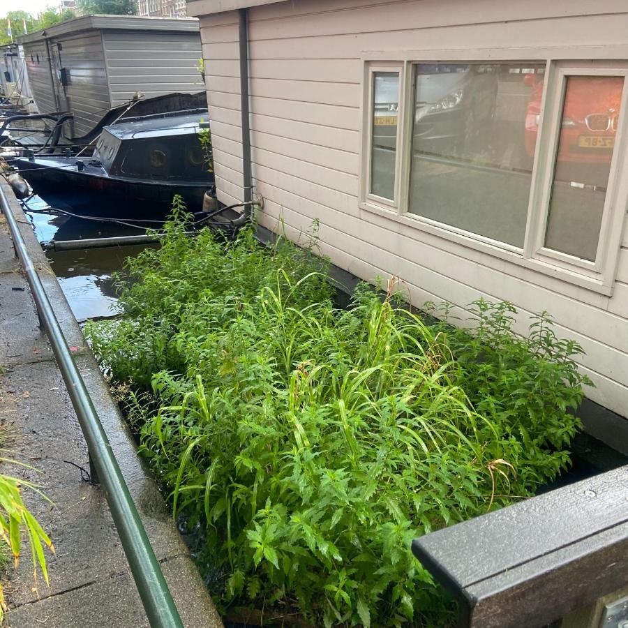 לינה וארוחת בוקר אמסטרדם Houseboat Bonnie מראה חיצוני תמונה